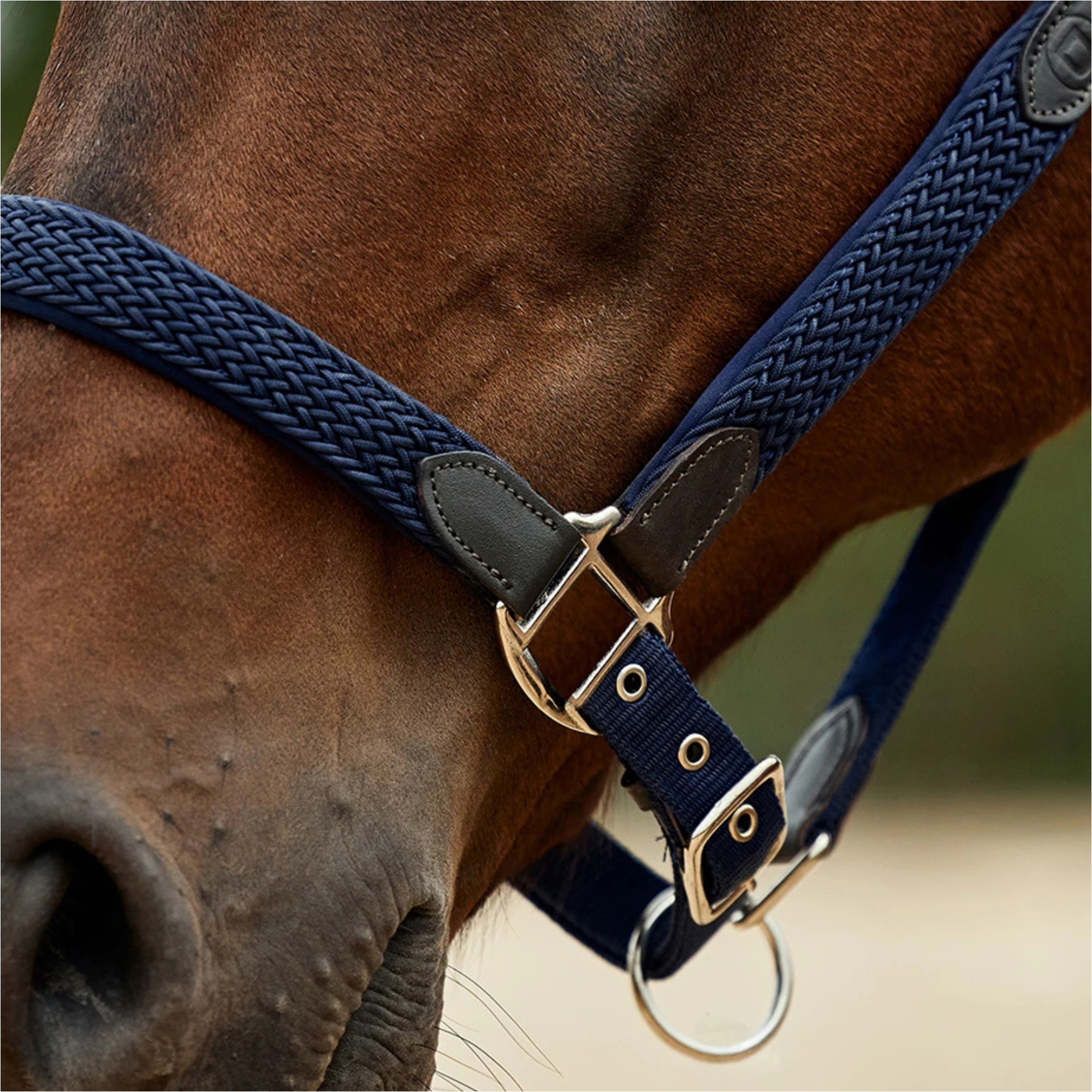2026 Dublin Vlechtleder Halster 1031532 - Navy